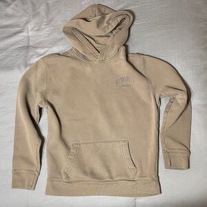 Hollister Men’s Brown Graphic Hooded Sweatshirt
